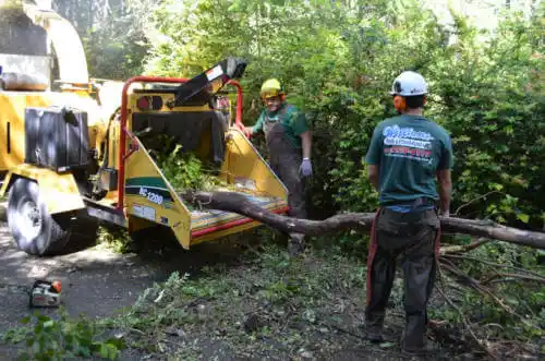 tree services Galesburg